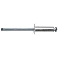 swg Flachrundniete (Ø x L) 4mm x 12mm Aluminium 100St.