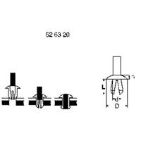 pbfastener PB Fastener 301-1911-001 Klinknagel Gat diameter 5.5 mm Zwart 1 stuk(s)