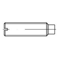 Sonstige ISO 7435 Stahl-14 H blank M5x0,8x10mm, Gewindestifte mit Schlitz und Zapfen