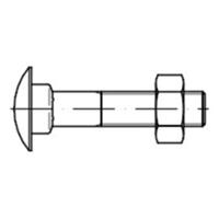 Flachrundschraube DIN 603 M10x 30 zn MU