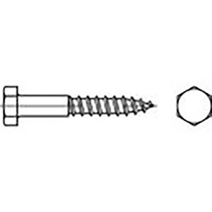 toolcraft TO-6855618 Zeskant houtschroeven 30 mm Buitenzeskant (inbus) DIN 571 Staal Verzinkt 100 stuk(s)