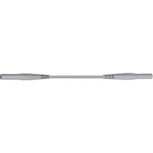 Stäubli XMS-419 Veiligheidsmeetsnoer [Banaanstekker 4 mm - Banaanstekker 4 mm] 1.00 m Grijs 1 stuk(s)