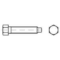 Sonstige Sechskantschraube mit Zapfen DIN 561 Stahl 22H/8.8 zn BM24x 70