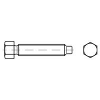 Sonstige Sechskantschraube mit Zapfen DIN 561 Stahl 22H/8.8 zn AM20x100