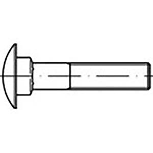 toolcraft TO-6855756 Platbolkopschroeven M10 35 mm DIN 603 Staal Thermisch verzinkt 100 stuk(s)