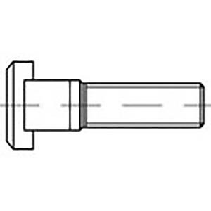 toolcraft TO-6855786 T-gleufschroeven M24 100 mm DIN 787 Staal 5 stuk(s)