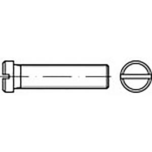 toolcraft TO-6857436 Platkopschroeven M4 10 mm Sleuf DIN 920 100 stuk(s)