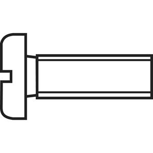 toolcraft 888690 Cilinderschroeven M4 10 mm Sleuf DIN 84 Staal Verzinkt 1 stuk(s)