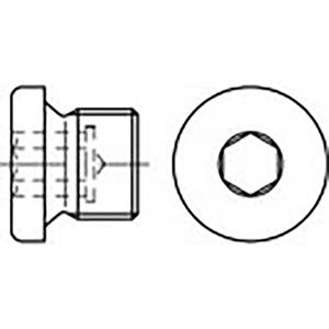 toolcraft TO-6855792 Sluitschroeven 1 1/8 inch Binnenzeskant (inbus) DIN 908 Staal 10 stuk(s)