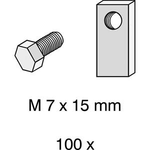 hofe Schroeven, M 7 x 15 mm, VE = 100 stuks, met speciale moeren