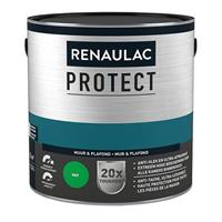 Renaulac Muur- en plafondverf  Protect ultra dekkend stormy sea mat 2,5L