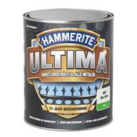 Hammerite metaallak ultima metallics zilver 250ml