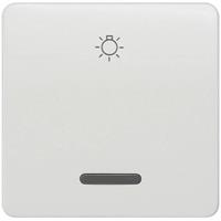 Siemens Schalterprogramm Wippe Delta Weiß 5TG7806