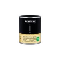 Renaulac muur- en plafondverf Intention Ambitious Goal extra mat 125ml