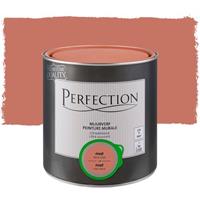 Perfection ultradekkende muurverf Terraroze mat 2,5L