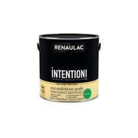 Renaulac muur- en plafondverf Intention Ambitious Goal extra mat 2,5L