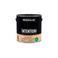 Renaulac muur- en plafondverf Intention Detail extra mat 2,5L