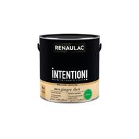 Renaulac muur- en plafondverf Intention ginger shot extra mat 2,5L