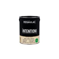Renaulac muur- en plafondverf Intention Calm Down extra mat 5L