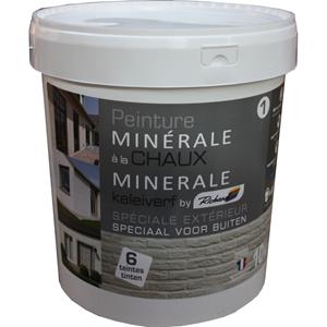 Praxis Richard gevelverf minerale kalk 10kg
