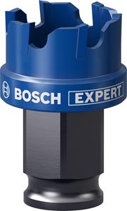 Bosch EXPERT Sheet Metal 2608900494 Gatenzaag 1 stuks 25 mm 1 stuk(s)