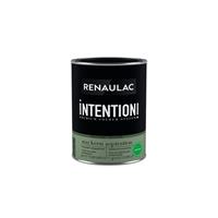 Renaulac muur- en plafondverf Intention Keen Aspiration extra mat 1L