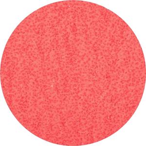 PFERD CDR 75 CO-COOL 24 42776702 Schuurpapier Korrelgrootte 24 (Ø) 75 mm 50 stuk(s)