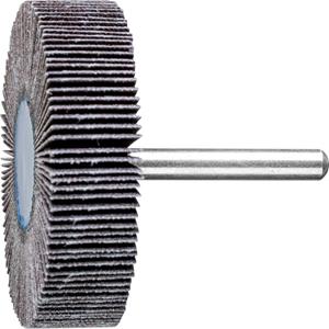 PFERD 44460150 Fächerschleifer Durchmesser 60mm 10St.