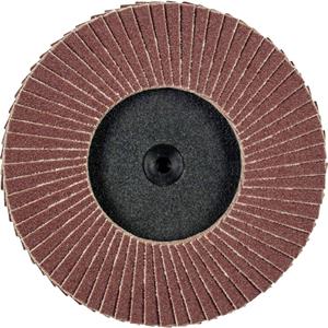 PFERD 47202532 Fächerschleifscheibe Durchmesser 75mm 10St.