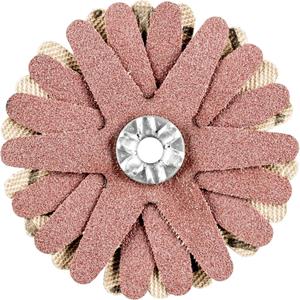 PFERD 42732068 Schleifsterne Durchmesser 50mm 10St.