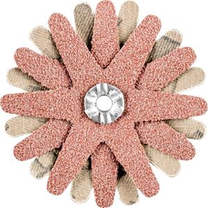 PFERD 42732083 Schuursterren Diameter 60 mm 10 stuk(s)