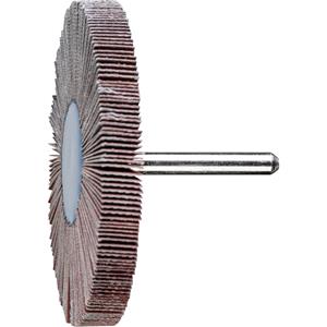 PFERD 47802857 Fächerschleifer Durchmesser 80mm 10St.