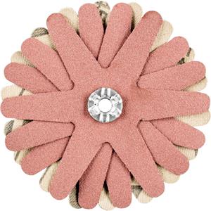 PFERD 42732109 Diameter 70 mm 10 stuk(s)