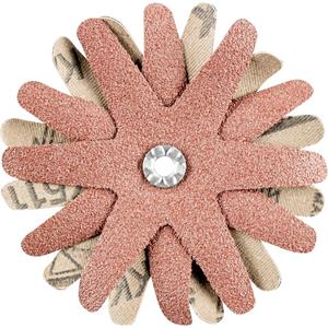 PFERD 42732143 Schuursterren Diameter 90 mm 10 stuk(s)