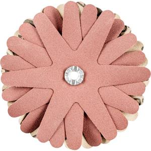 PFERD 42732149 Schuursterren Diameter 90 mm 10 stuk(s)