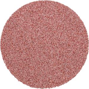 PFERD CD 38 A 80 FORTE 42751408 Schuurpapier Korrelgrootte 80 (Ø) 38 mm 100 stuk(s)