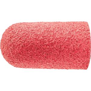 PFERD 42306216 Diameter 21 mm 50 stuk(s)