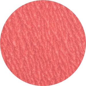 PFERD 42778512 Kleinfiberschleifer Ø 50mm Körnung num 120 100St.