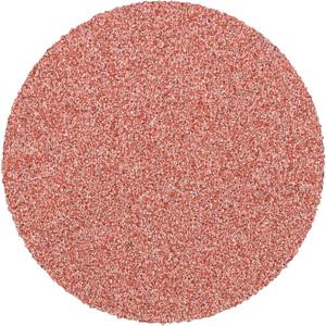 PFERD CDR 38 A 80 42770408 Schuurblad Korrelgrootte 80 (Ø) 38 mm 100 stuk(s)