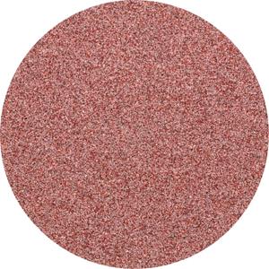 PFERD CDR 38 A 80 FORTE 42771408 Schuurpapier Korrelgrootte 80 (Ø) 38 mm 100 stuk(s)