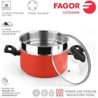 Fagor Maxima Topf + Deckel + Dampfgarer ø20cm rot Aluminium 3004 