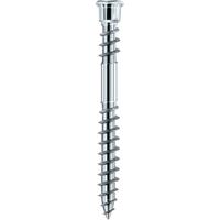 EUROTEC Terrassotec Edelstahl gehärtet 5,5 x 50 TX25 (Inh. 200 Stück)