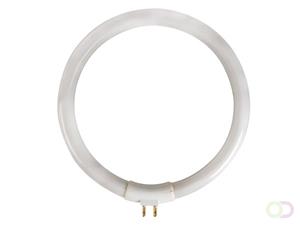 Velleman Bureaulamp Met Vergrootglas Dioptrie 3 + 12 - 12w - Wit - [VTLAMP10]