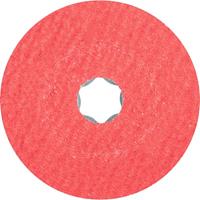 PFERD 64189101 Diameter 100 mm