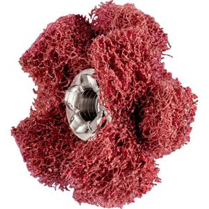 PFERD 44698253 Diameter 25 mm 20 stuk(s)