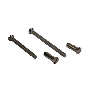 Ami Patentbout compleet met huls - M4x55 - Ijzer vernikkel (10 schroeven + 2 Hulzen)