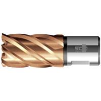 Bds HSS-Kernbohrer VarioPlus ø21 x 30mm