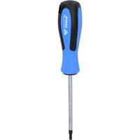 BRILLIANT TOOLS Schraubendreher TORX, T25 x 100 mm - 