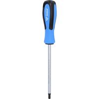 BRILLIANT TOOLS Schraubendreher TORX, T40 x 150 mm - 