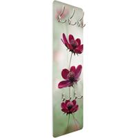 Bilderwelten Garderobe - Pinke Kosmeen GrÃ¶ÃŸe HxB: 139cm x 46cm